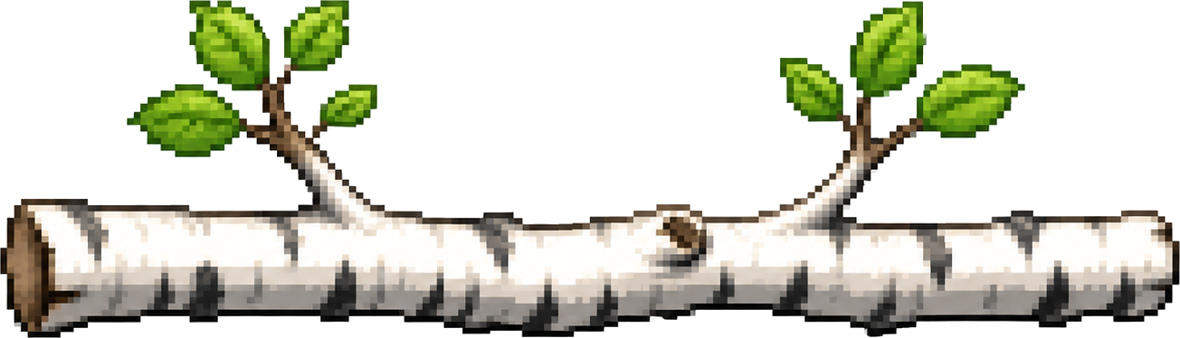 白樺の枝